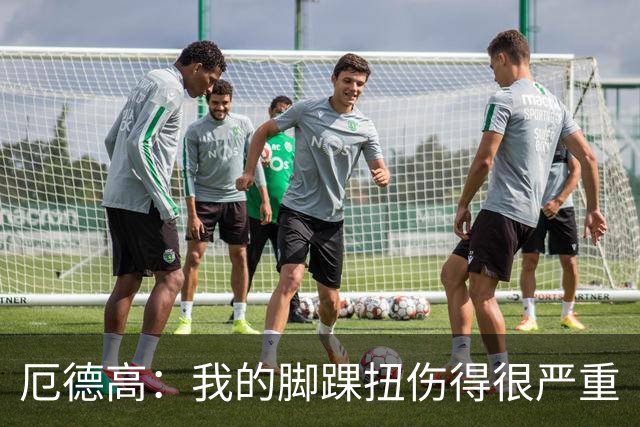 厄德高：我的脚踝扭伤得很严重
